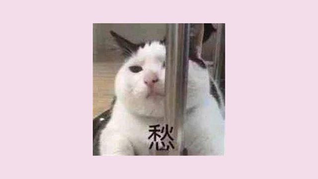 彻底搞懂5类麦克风！每款都有闭眼入推荐