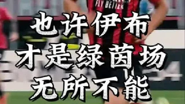 也许伊布才是绿茵场上无所不能的偷猎人