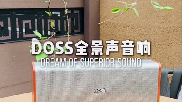 这台音响的细节解析力惊人！推荐