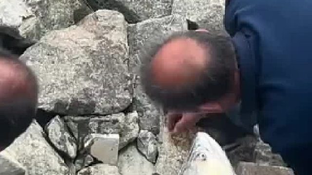 果然，姜还是老的辣！大爷钓上大鱼第一件事就是抄石头开敲