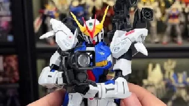 猛虎白圣约来了！