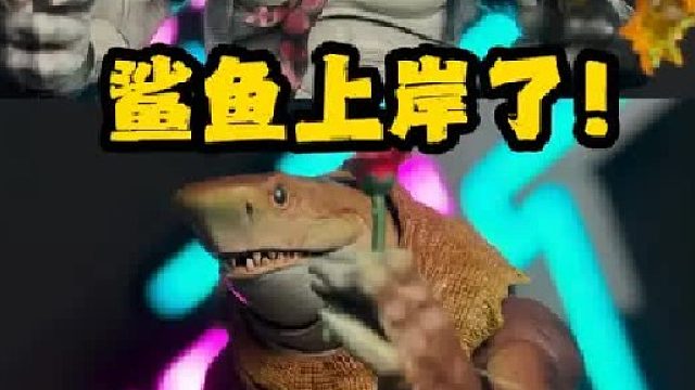 鲨鱼上岸了！狂怒工作室鲨鱼黑帮系列