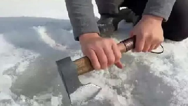 二彪子野外游玩竟发现意外惊喜