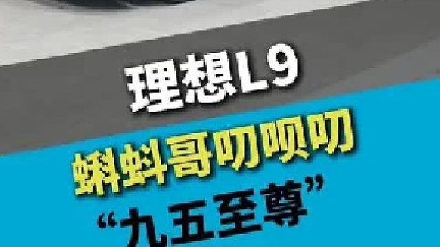 5台理想L9，凑一个“九五至尊”的打包合集案例