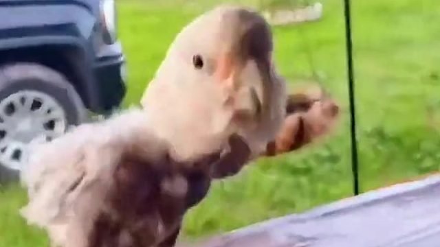 “首先你要快乐，其次的都是其次”