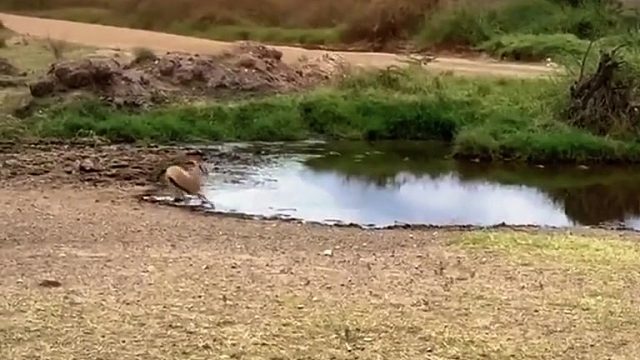 这速度一看就是四驱的，太快了 翻车了！