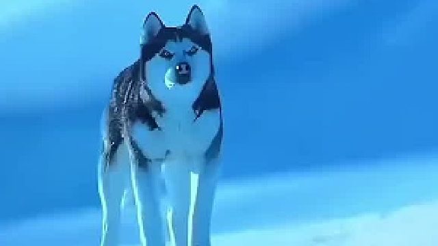 狗狗记忆复苏，它竟记起一切秘密