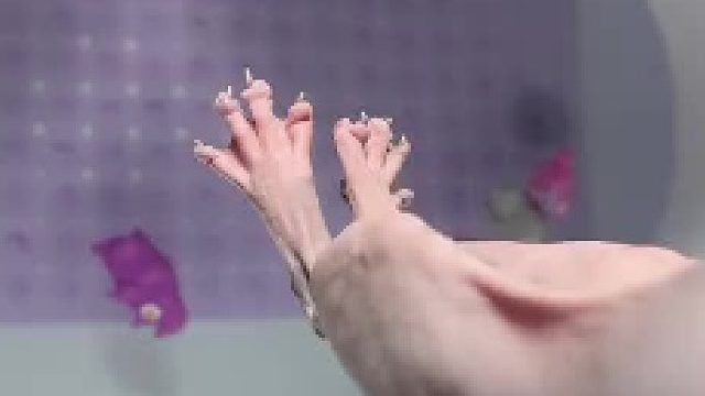 外国小姐姐给猫猫洗澡