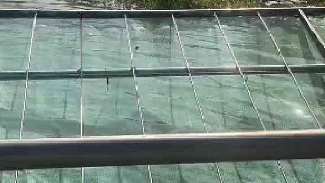 对钓鱼佬来说就是降维打击