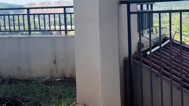 这个露台凉亭应该如何改造？