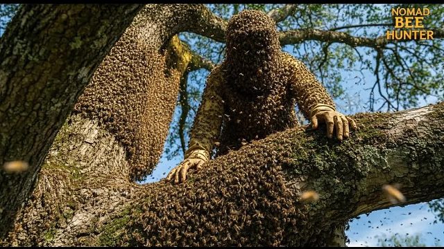 可怕的时刻野生蜜蜂猎人面临有史以来最凶猛的蜂巢