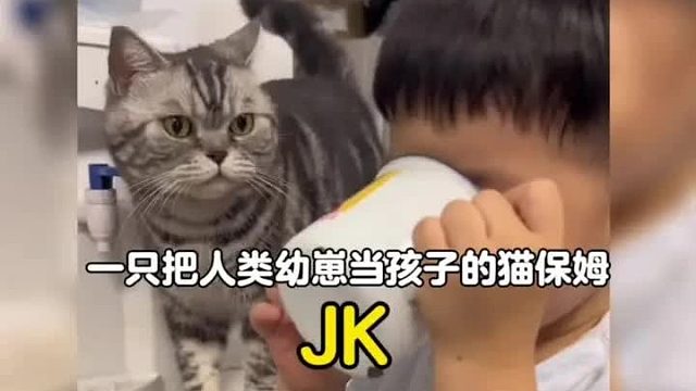 一只带娃比亲妈还上心的猫咪，会督促人类幼崽好好吃饭睡觉