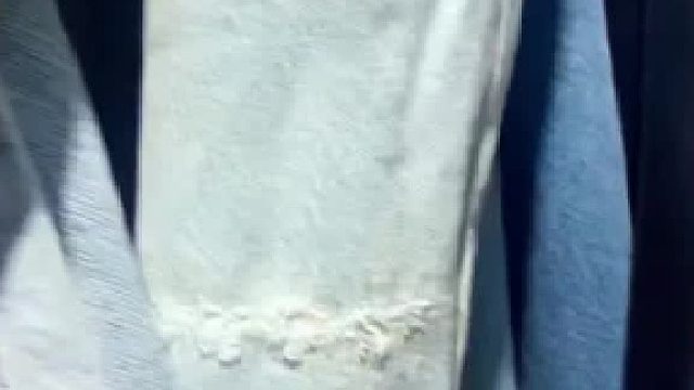 爱猫之城伊斯坦布尔猫咪随地大小睡～伊斯坦布尔街头的猫咪合集