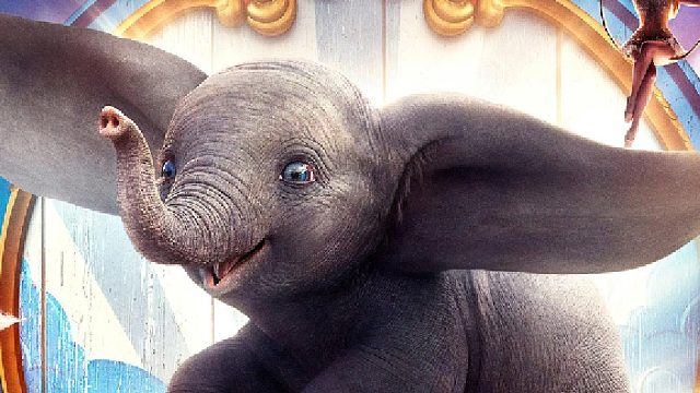 小象表演时意外跌落，结果奇迹的一幕发生