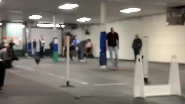 小黑的巅峰时刻