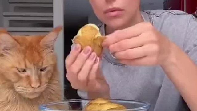 外国小姐姐沉浸式准备食物（268）