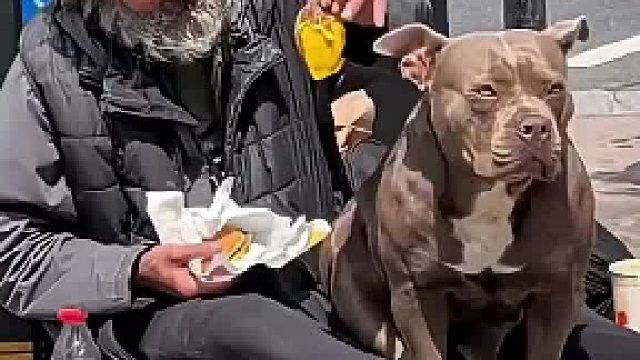 无家可归，却从未缺爱