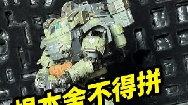 舍不得拼的模型