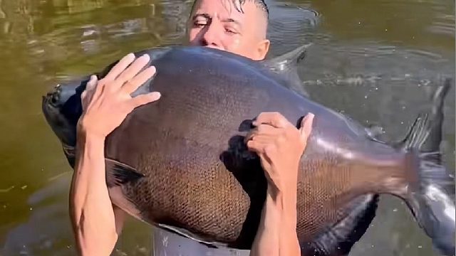老是空军的钓鱼小哥改为投喂，不料鱼儿和他诞生了珍贵友情还带来意外惊喜