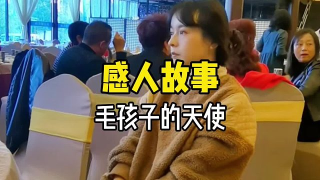 这或许就是流浪毛孩子们眼中的天使吧……