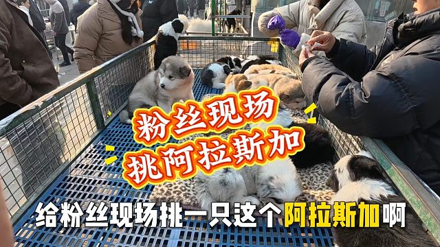 粉丝想养啥咱就去找啥，主打就是两个字用心，不负信任不忘初心！