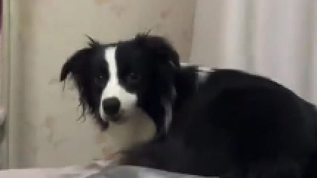 刚换了干净床单