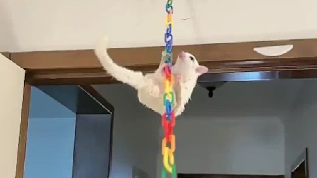 孩子飞手一点不含糊