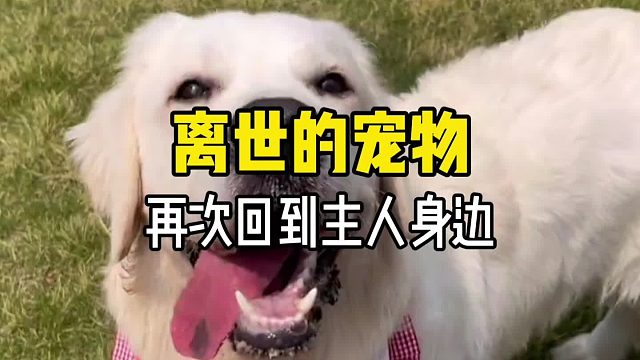 这是我挑了很久最像我的样子了，你还能认出我吗……
