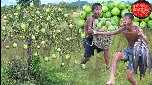 原始技术-煮鱼吃番石榴果配辣盐辣椒美味