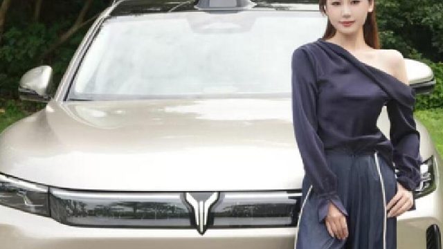 1元挑战4景点？岚图FREE ：这波我买单！