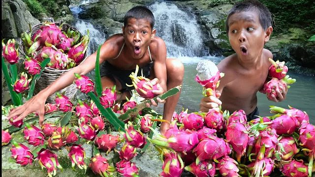 原始技术——吃出浓郁美味的火龙果