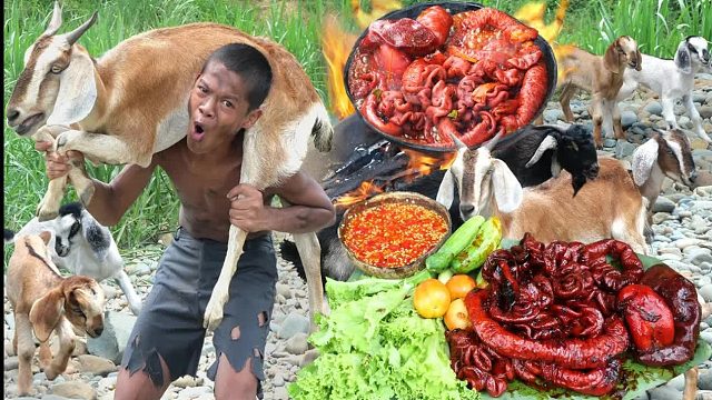 原始技术-肠煮食物-吃秀