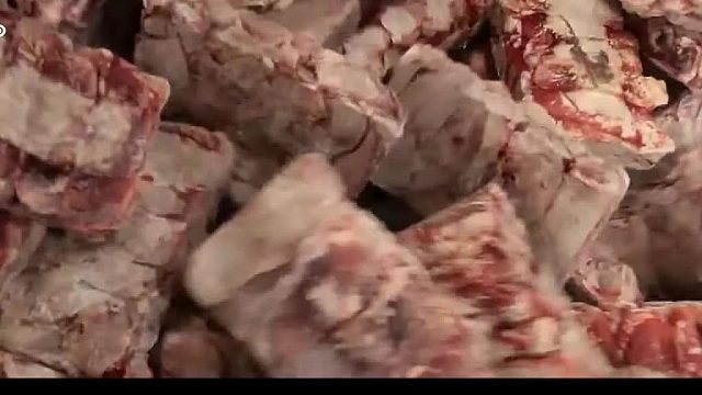 人真的可以吃狗粮吗？狗粮工厂揭秘视频结尾专门讲了人能不能吃狗粮的问题，看完狗粮工厂的整个生产过程你就相信了。