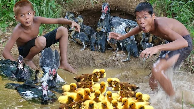 原始技术 - Kmeng Prey - 认识可爱的小鸭子