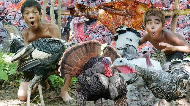 原始技术 - Kmeng Prey - 认识火鸡并烹制美味佳肴