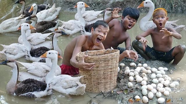 原始技术 - Kmeng Prey - 看鹅蛋烹饪