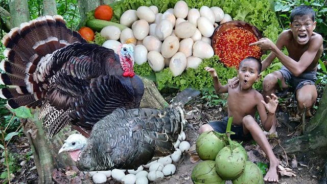 原始技术 - Kmeng Prey - 参见用椰子烹饪火鸡蛋