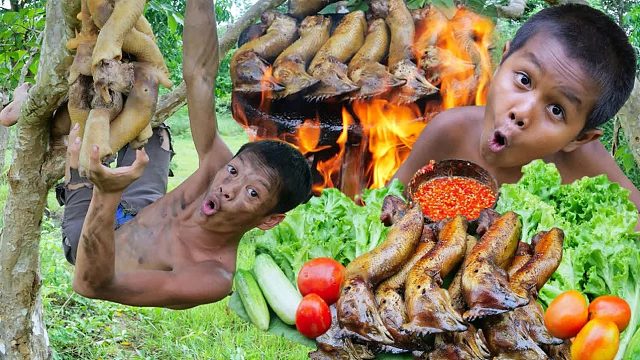 原始技术-看树上的鸡头做饭-吃秀