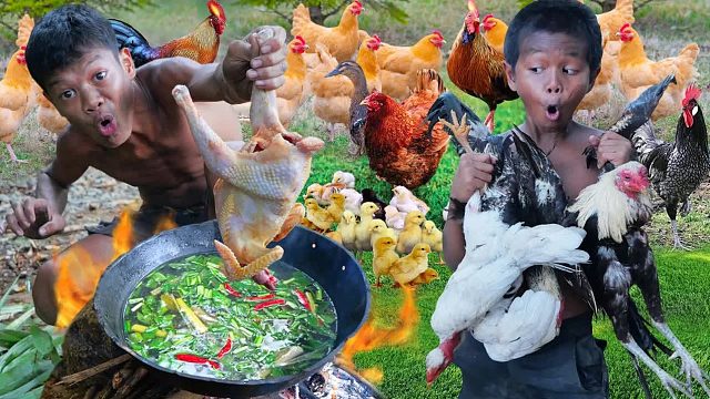 原始技术-今天两个男孩抓鸡很多做饭吃