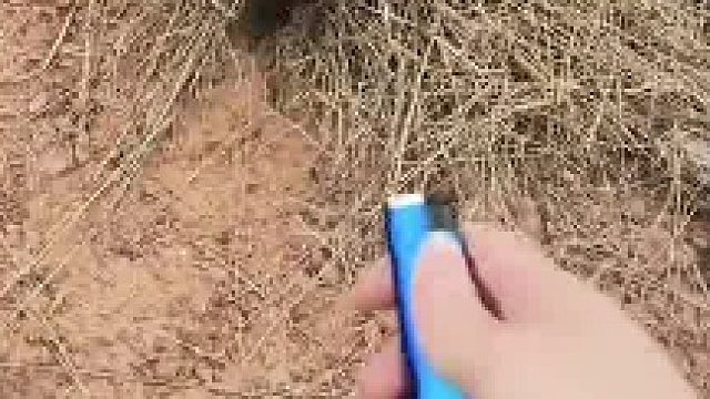 看不得你那么悠闲