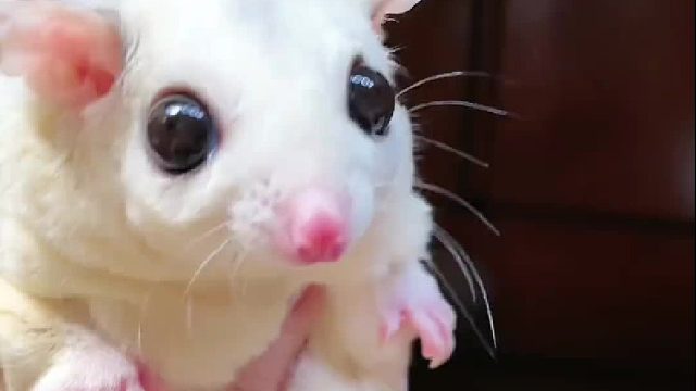 是不是多少有点浪费了