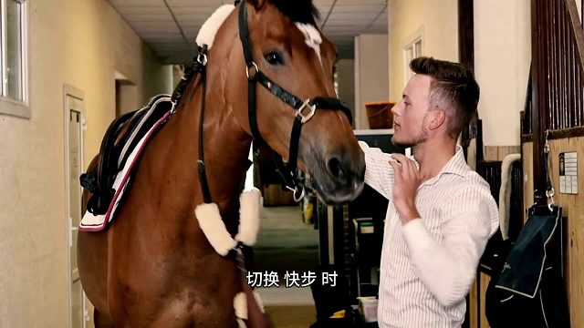 马术引导口令：人马默契密钥梨花声音课堂