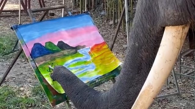 国外大象从小苦练绘画10来年水平已非同一般，但是看到最后幅画却让人泪目了