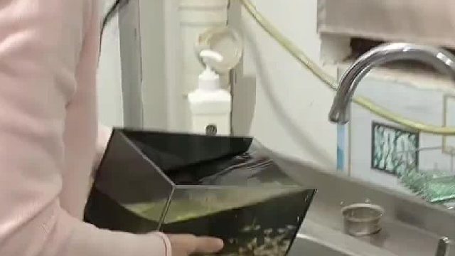 强者从来不抱怨环境，这些鱼都是我从鱼卵开始养的，已经适应我的养工了