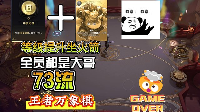 七三猪全员大哥