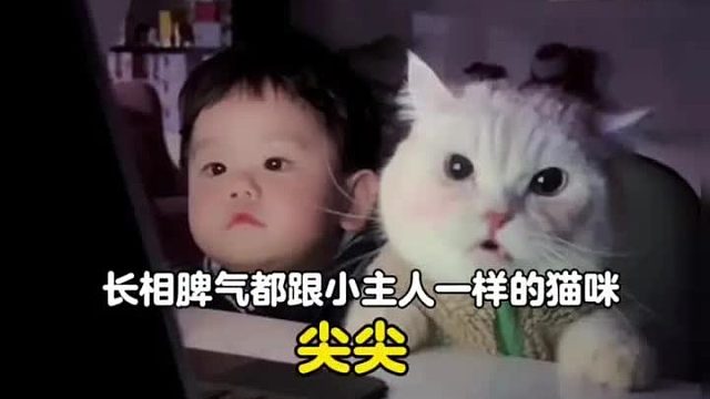 陪人类幼崽从小长大的猫咪，连长相脾气都一模一样
