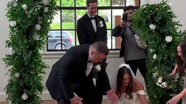 婚礼上的狗狗们