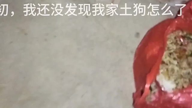 原来狗离世之前会眼中有泪光，会一声不吭，会失去嗅觉，失去味觉