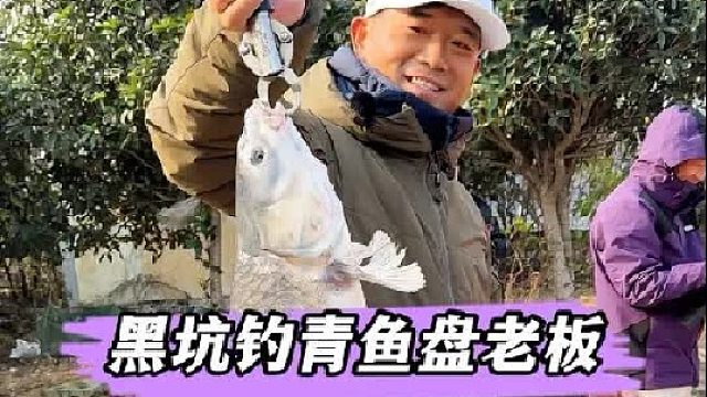 第一次在武汉周边黑坑里用珠珠钓青鱼盘老板。