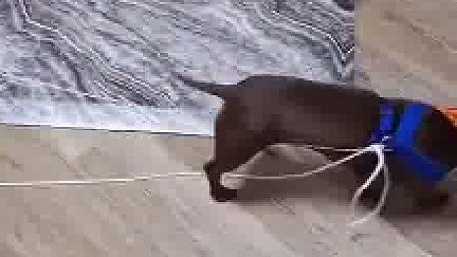 以退为进，方可破此局